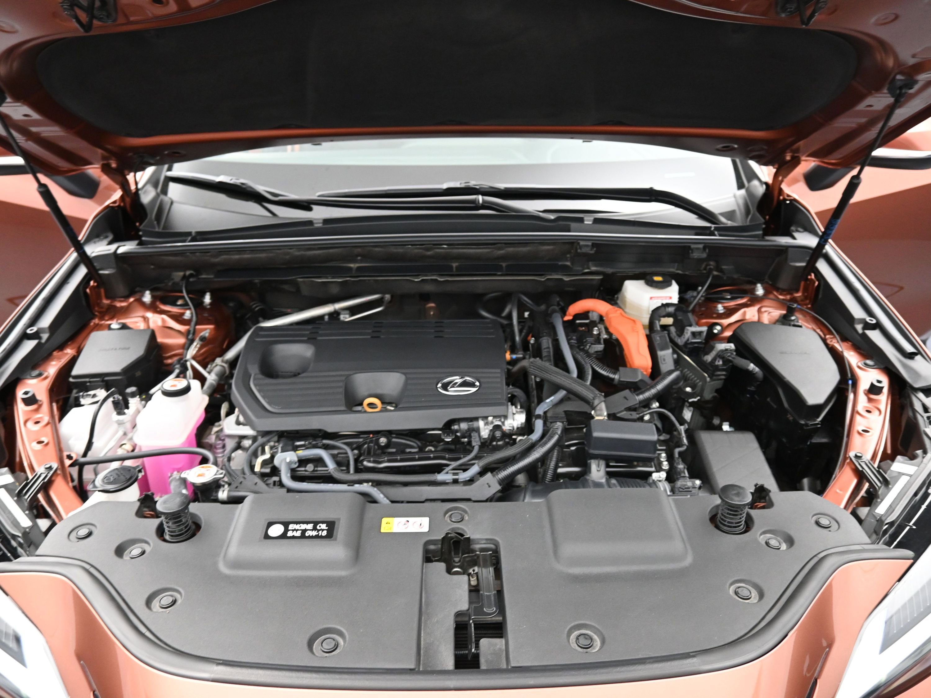 Used 2025 Lexus NX 350h AWD w/ Cold Area Package image 21