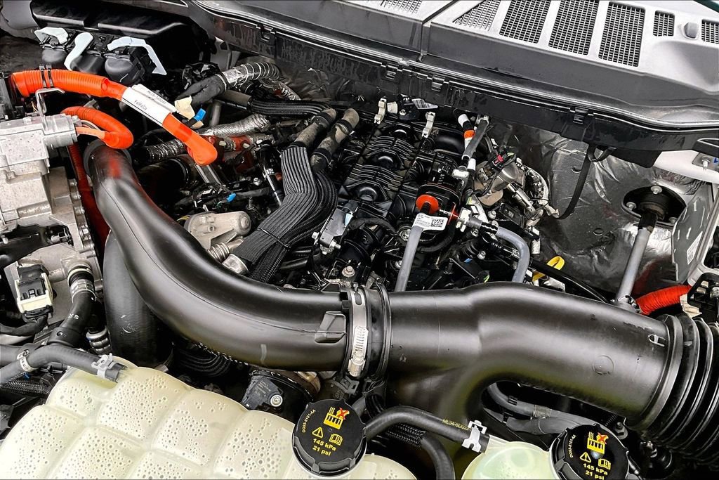 Used 2025 Ford F150 XLT w/ Equipment Group 303A High image 33