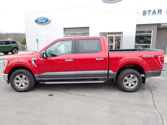 Used 2021 Ford F150 XLT w/ Equipment Group 302A High image 2