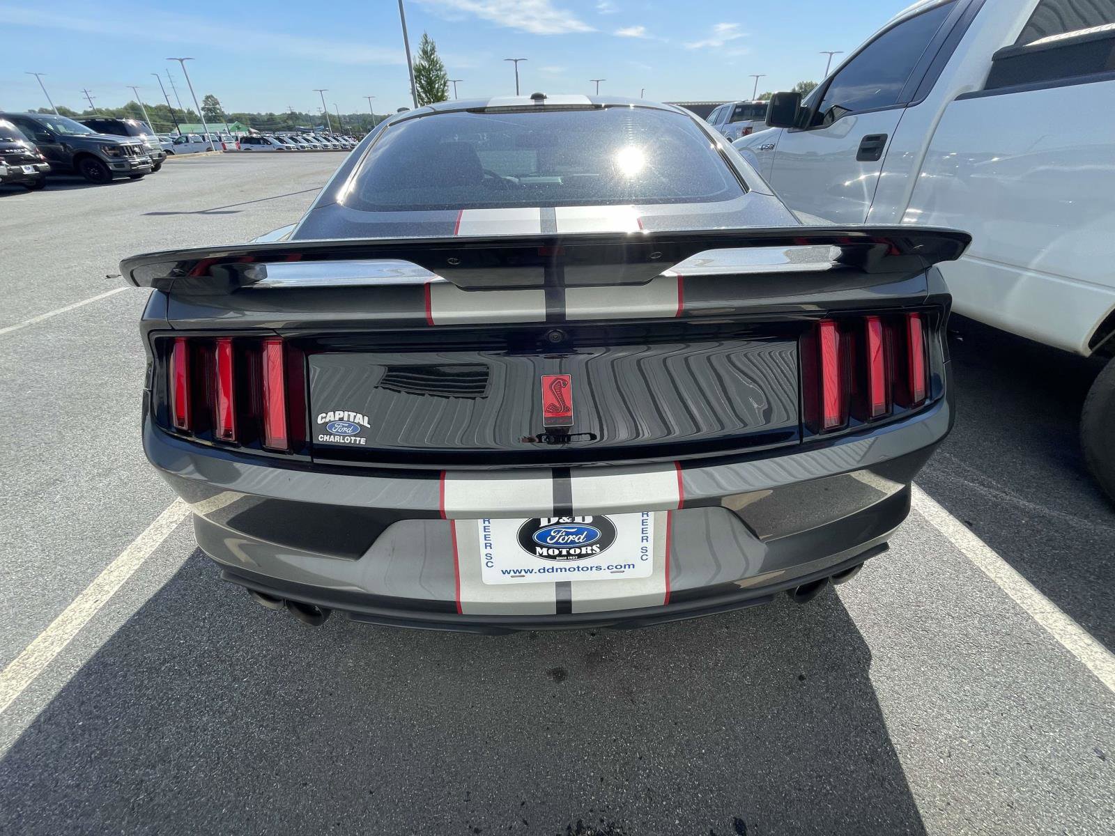Used 2019 Ford Mustang Shelby GT350 w/ Technology Package RWD image 9