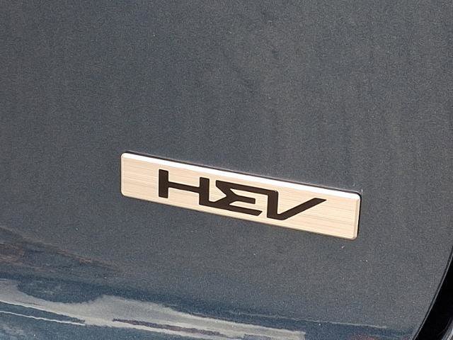 New 2025 Kia Niro EX image 5