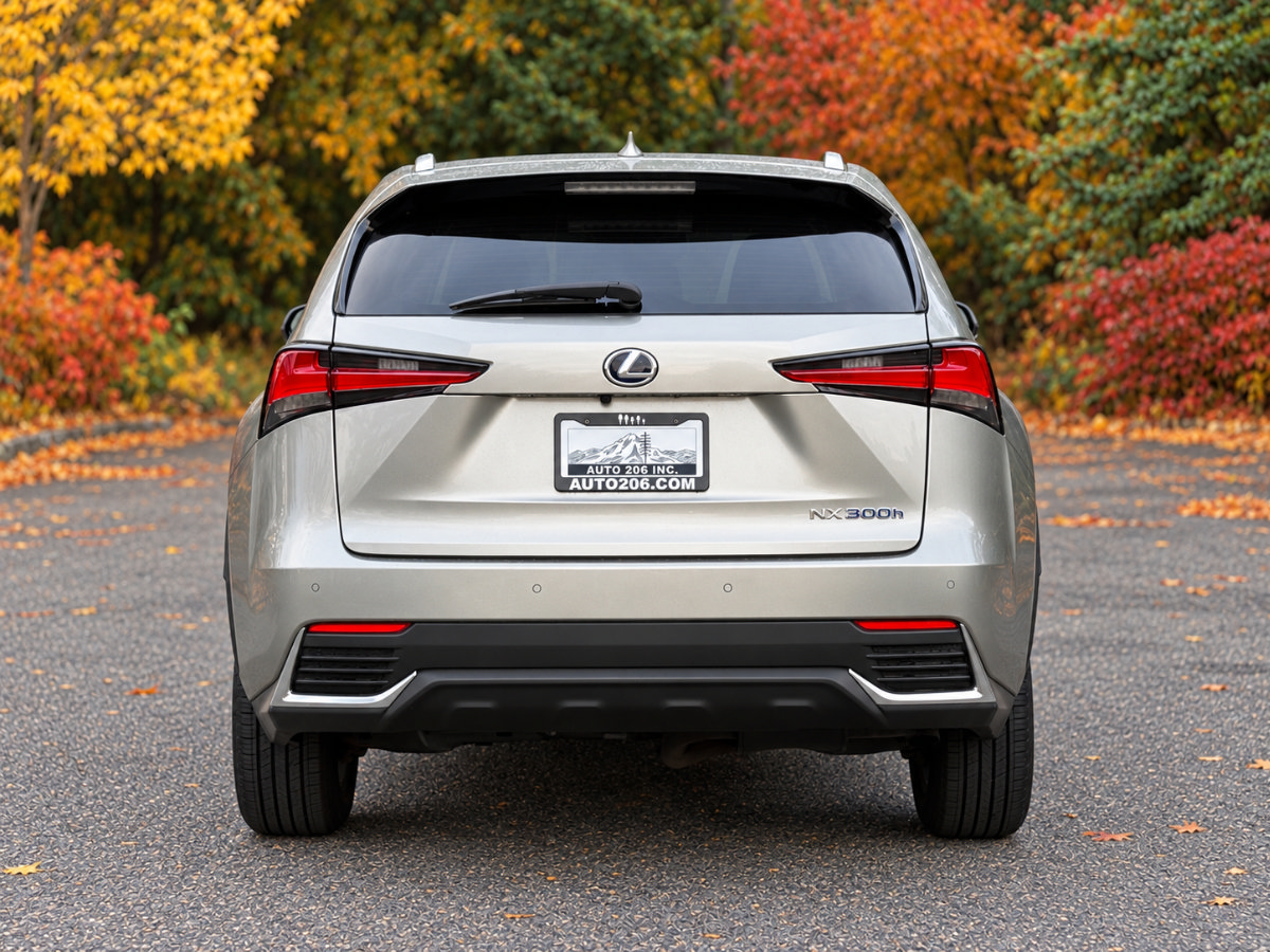 Used 2019 Lexus NX 300h AWD w/ Premium Package image 5