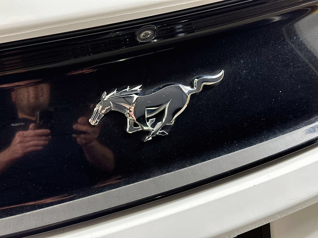 Used 2016 Ford Mustang Coupe RWD image 29