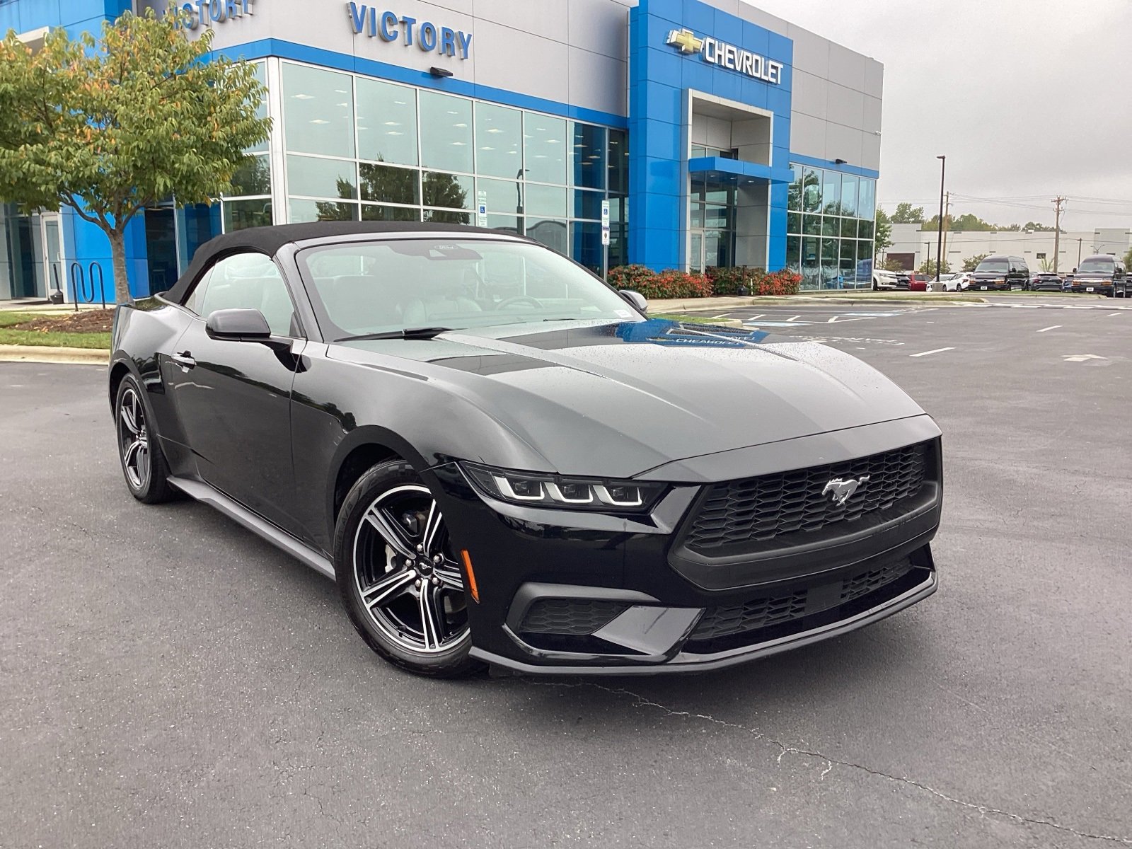 Used 2024 Ford Mustang Premium image 7