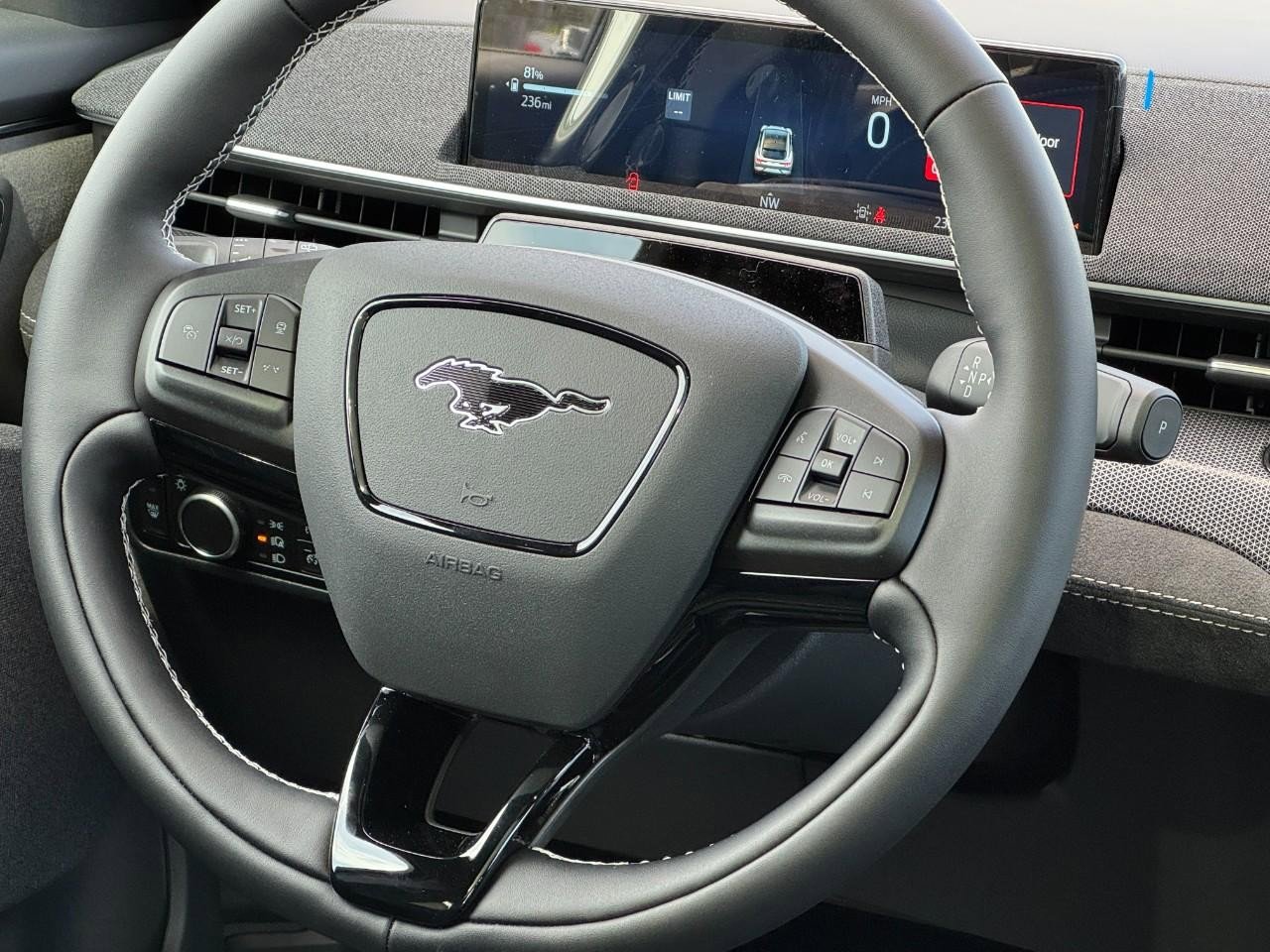 New 2025 Ford Mustang Mach-E GT w/ Interior Protection Package image 7