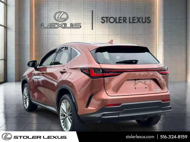 Certified 2025 Lexus NX 350 AWD w/ Cold Area Package image 7
