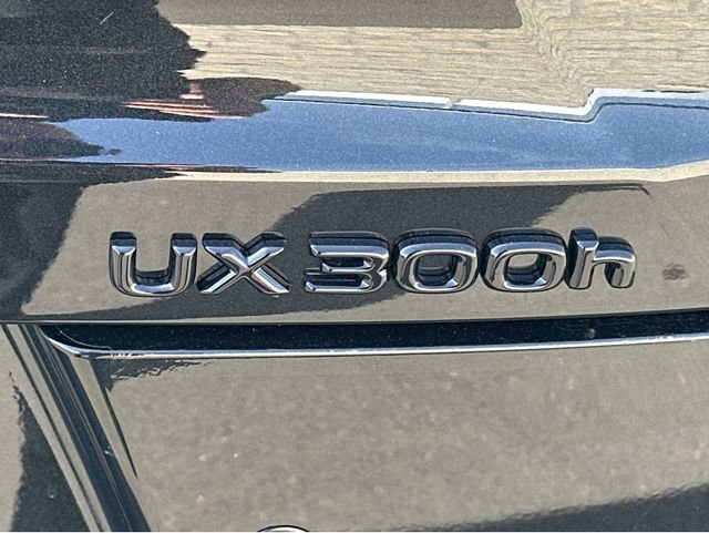 New 2026 Lexus UX 300h FWD image 21