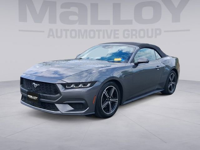 Used 2024 Ford Mustang Premium image 1