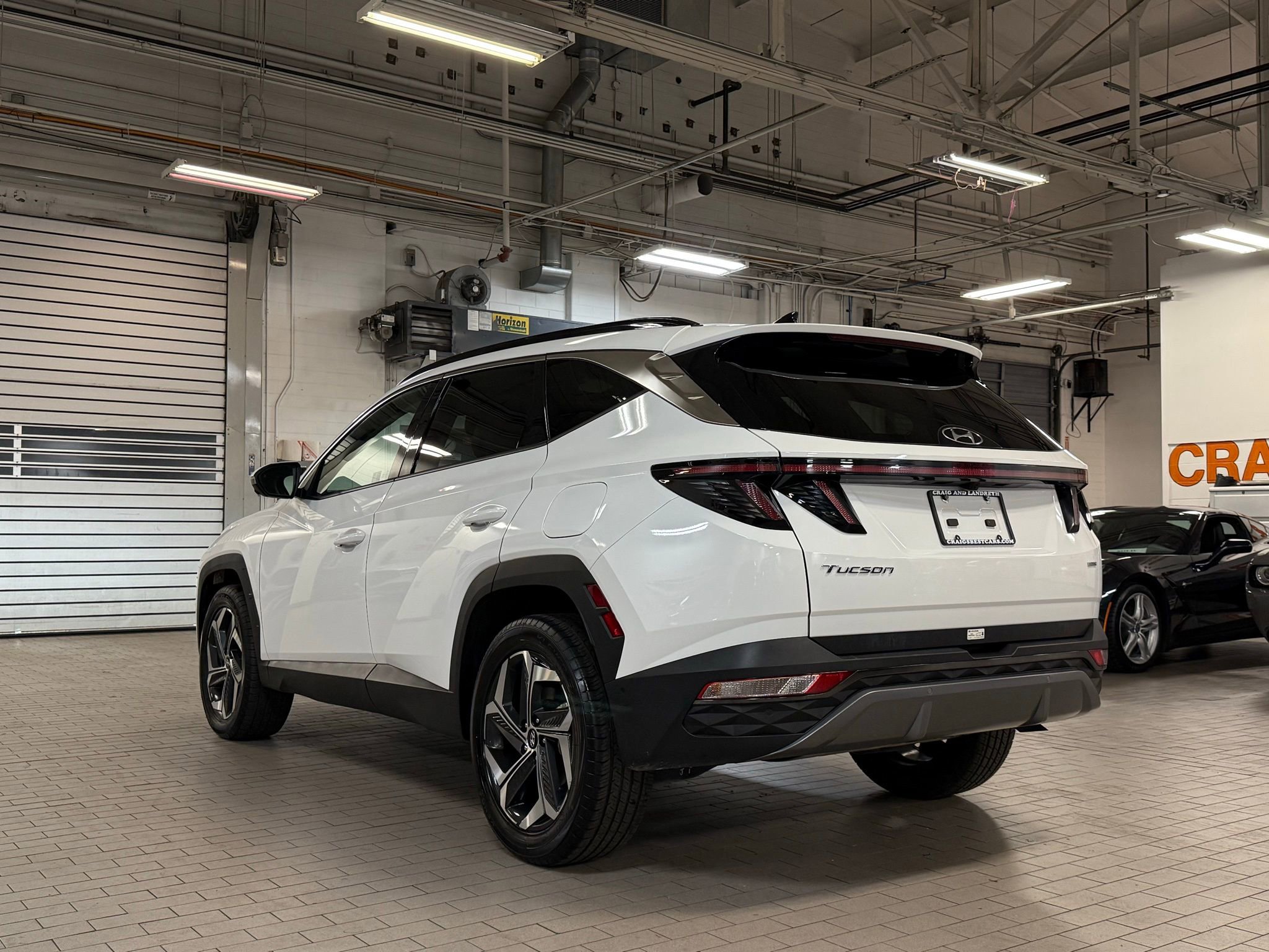 Used 2024 Hyundai Tucson Limited image 3