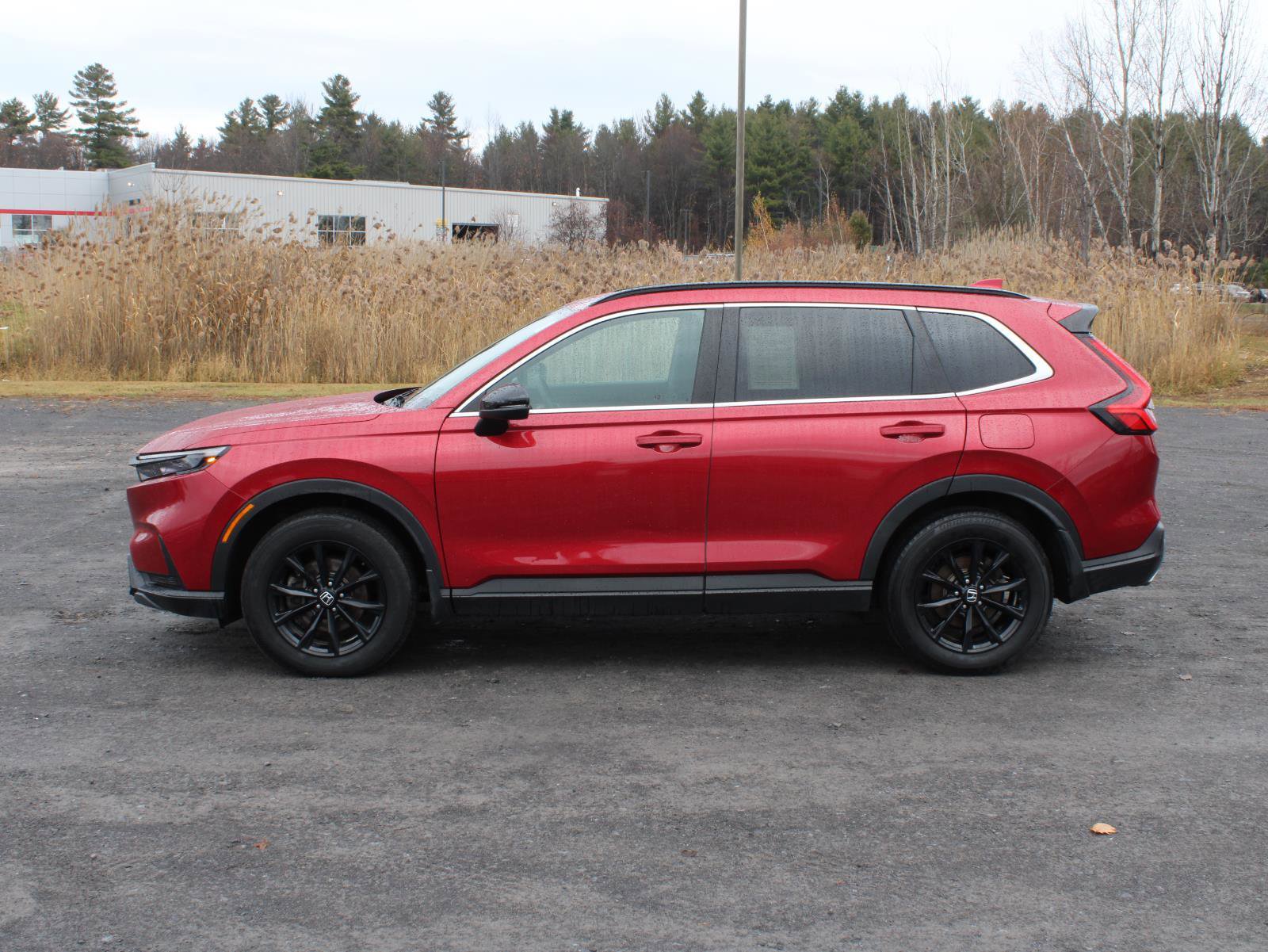 Certified 2025 Honda CR-V Sport image 5