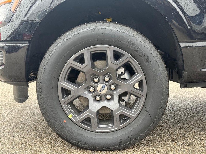 New 2026 Ford F150 STX w/ Equipment Group 200A image 13