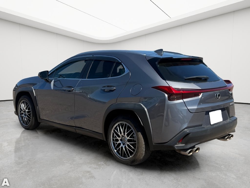 Used 2020 Lexus UX 200 w/ Premium Package FWD image 4