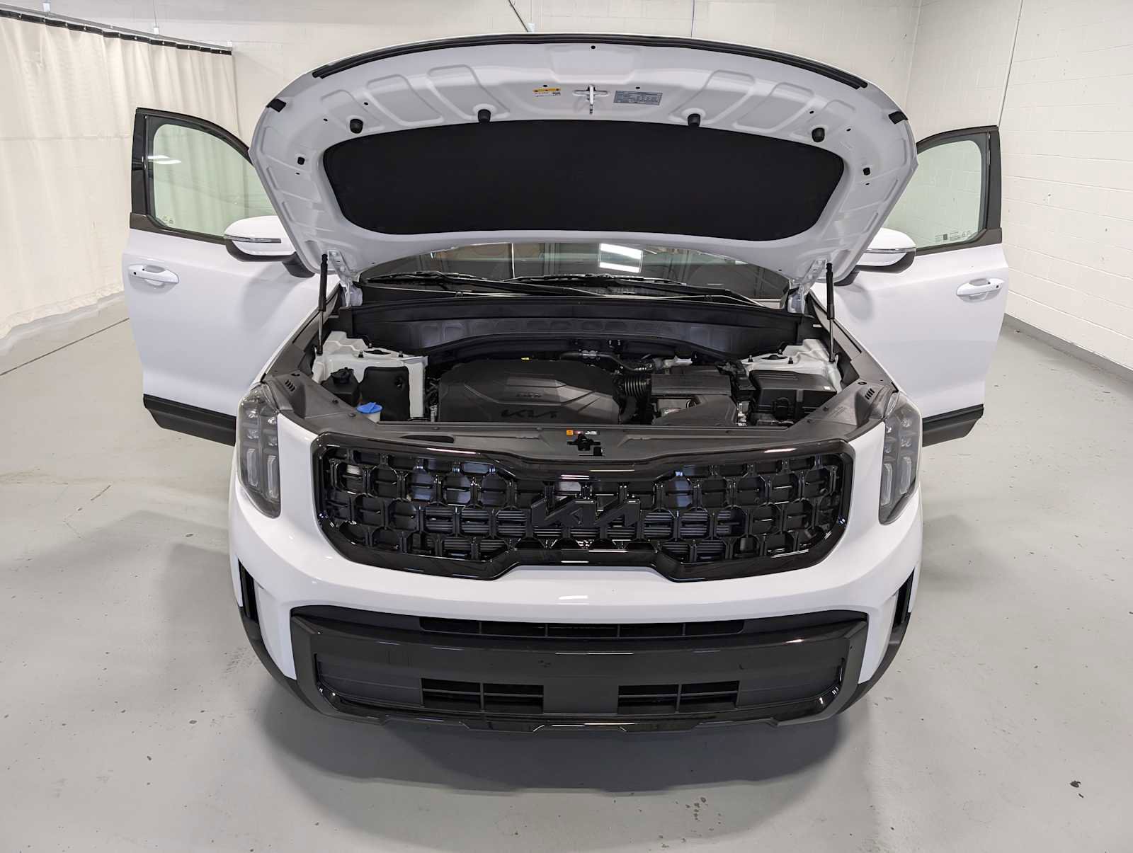 New 2025 Kia Telluride EX X-Line image 12