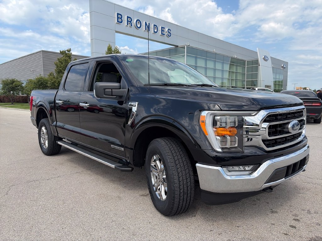 Used 2023 Ford F150 XLT w/ Equipment Group 302A High