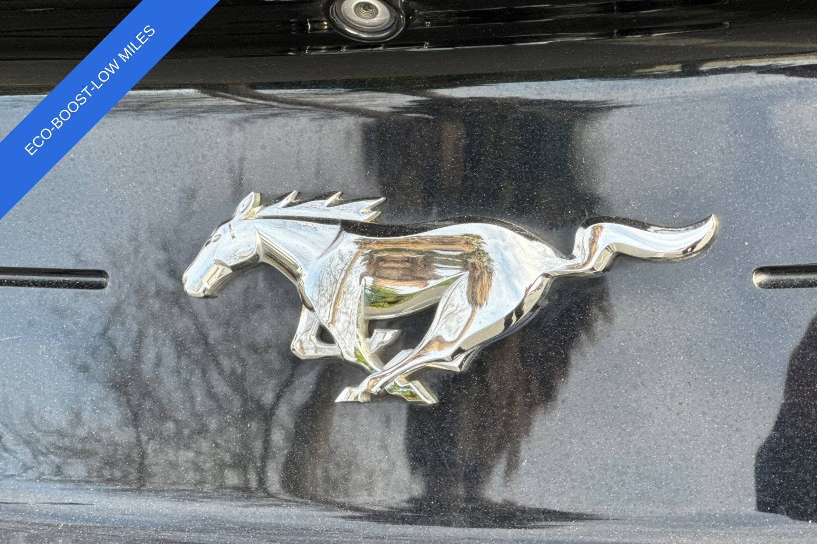 Certified 2019 Ford Mustang EcoBoost image 27