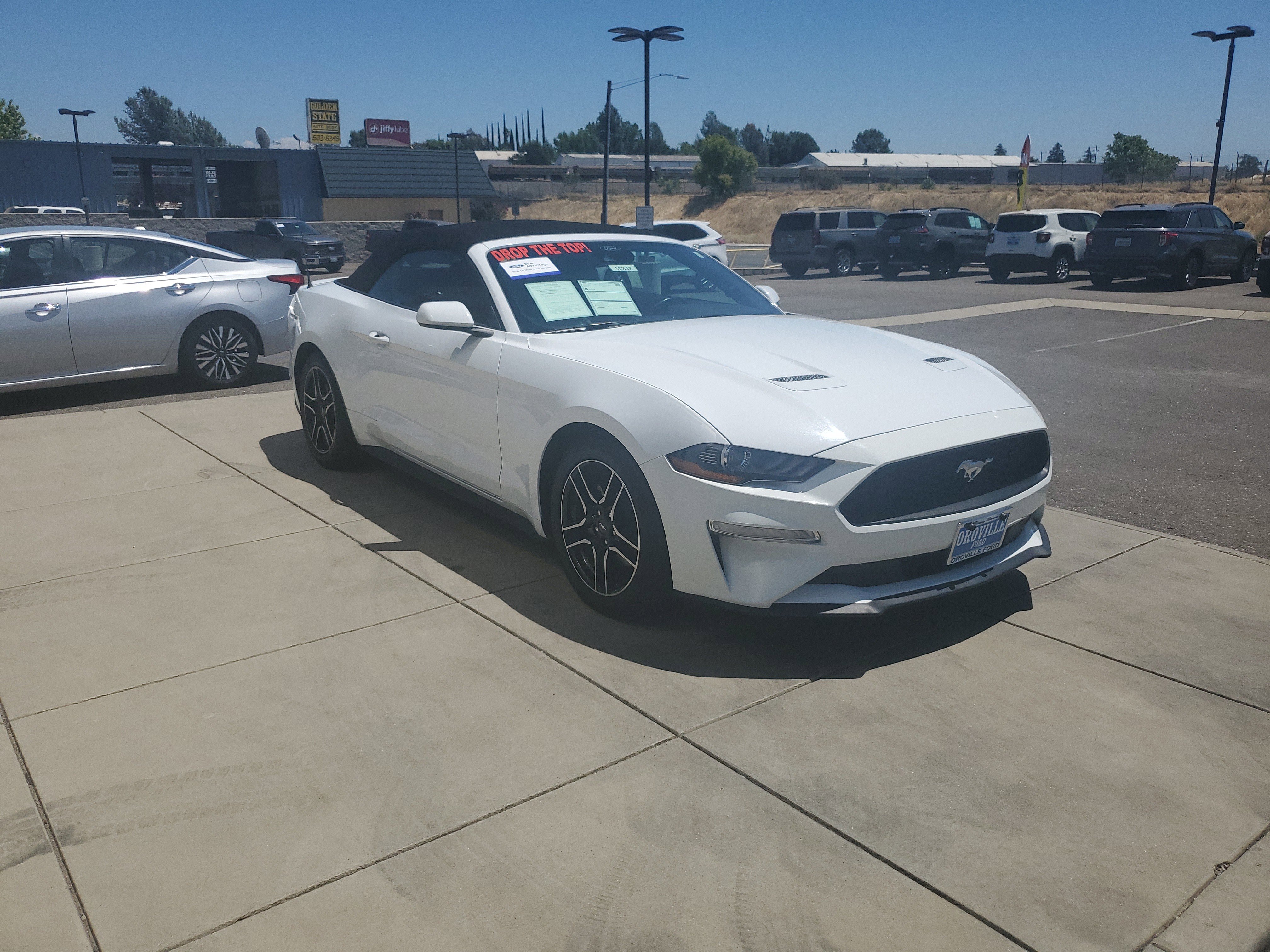 Used 2023 Ford Mustang Premium image 7