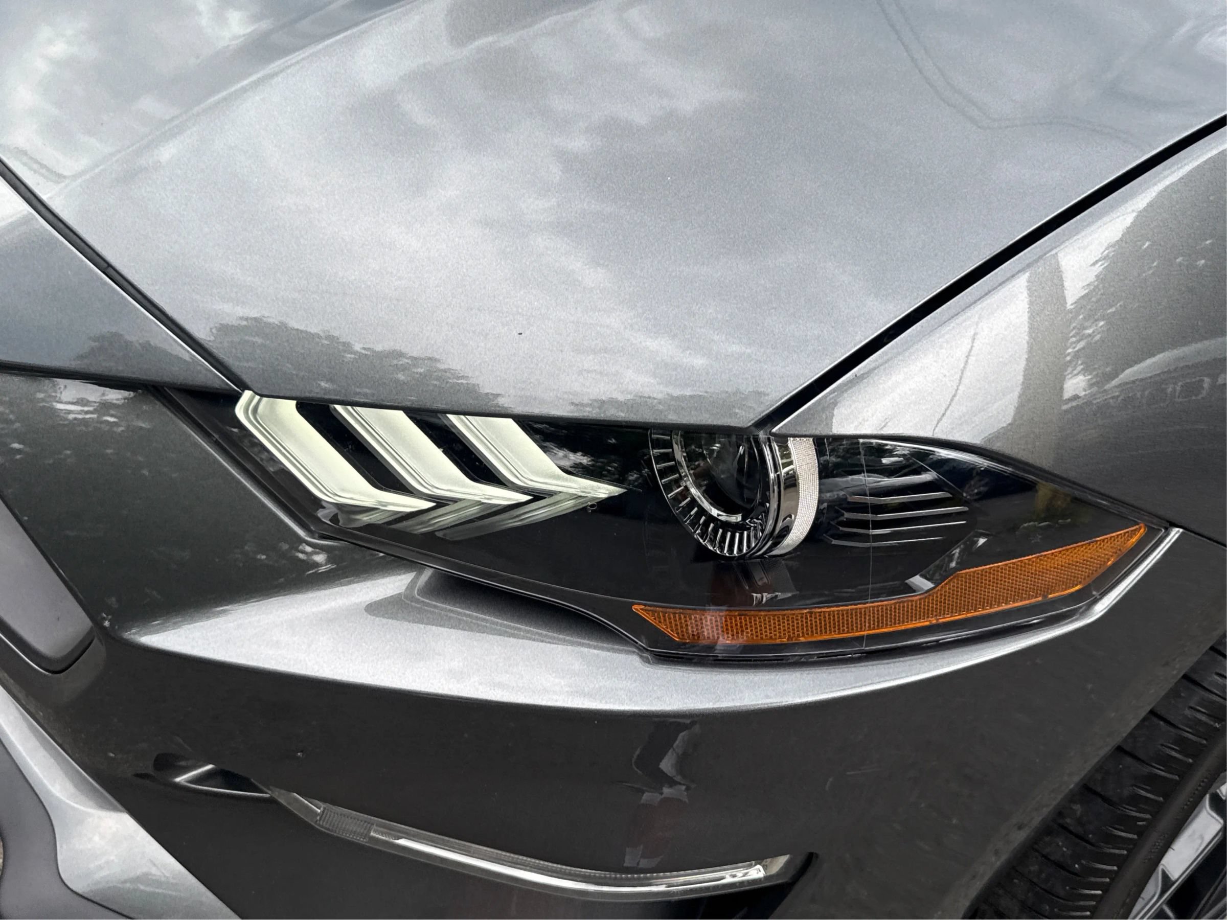 Used 2019 Ford Mustang Coupe w/ Black Accent Package RWD image 20
