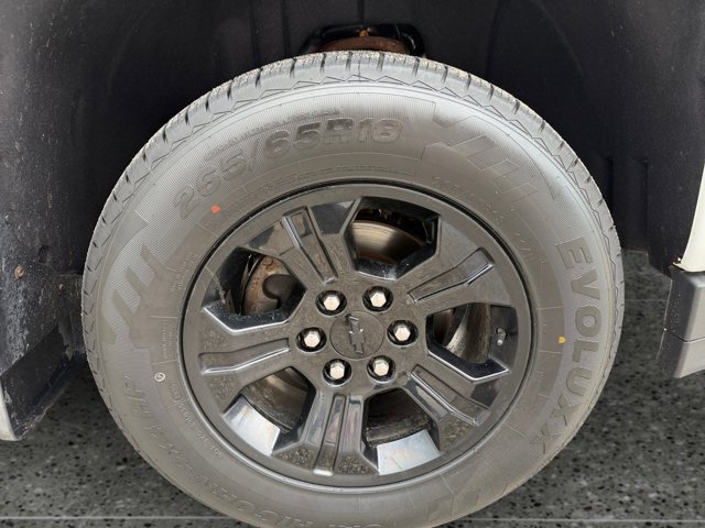 Used 2019 Chevrolet Silverado 1500 LT w/ All Star Edition AWD/4WD image 14