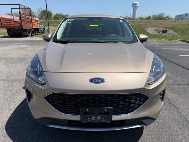 Used 2021 Ford Escape SE w/ Convenience Package AWD/4WD image 2
