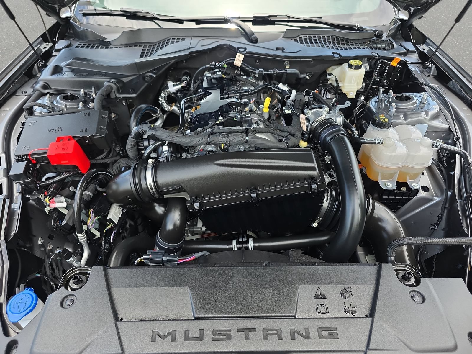Used 2025 Ford Mustang Coupe RWD image 28