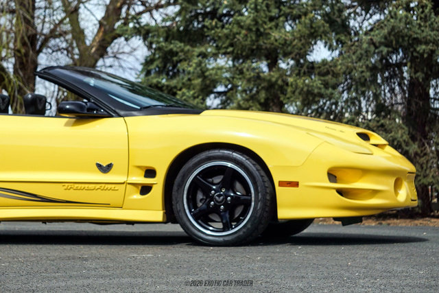 Used 2002 Pontiac Firebird Trans Am image 11