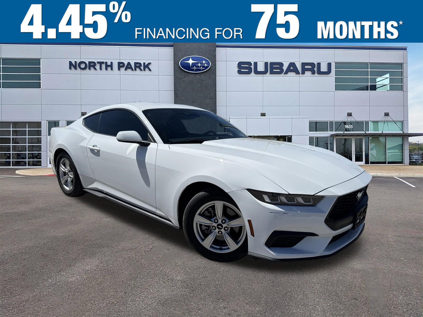 Used 2024 Ford Mustang EcoBoost image 1