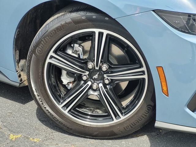 Used 2025 Ford Mustang Convertible RWD image 12