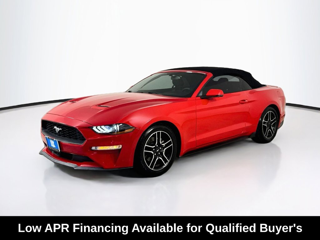 Used 2019 Ford Mustang Premium RWD image 3
