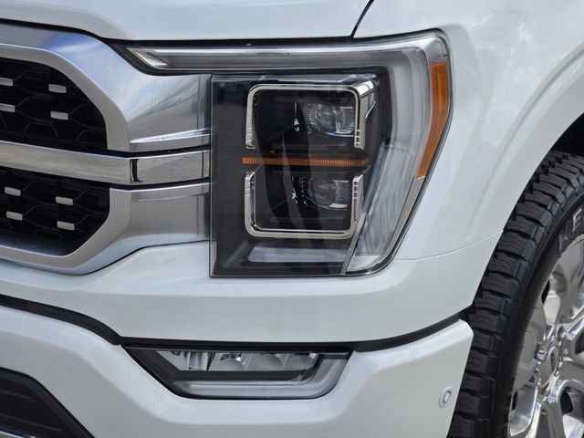 Used 2022 Ford F150 Platinum w/ Equipment Group 701A High AWD/4WD image 13