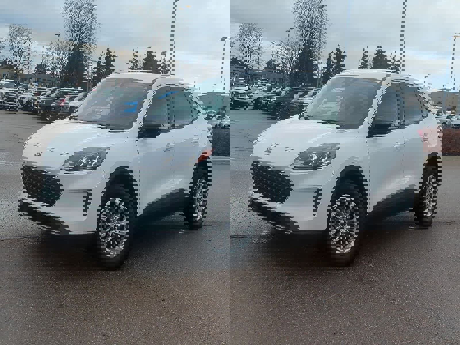 Used 2022 Ford Escape SE image 1