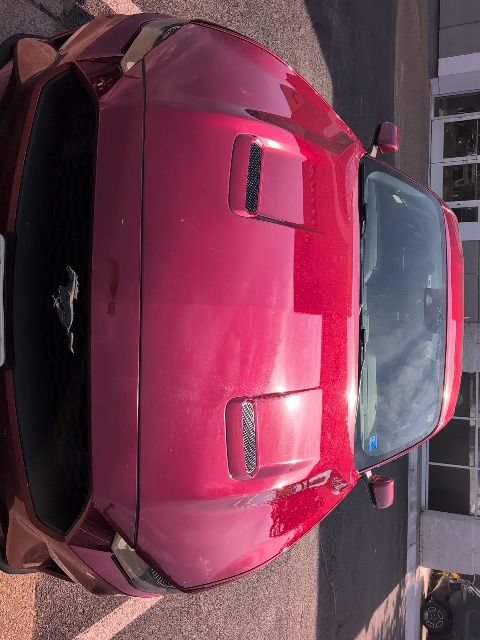 Used 2022 Ford Mustang Coupe w/ Equipment Group 101A RWD image 9