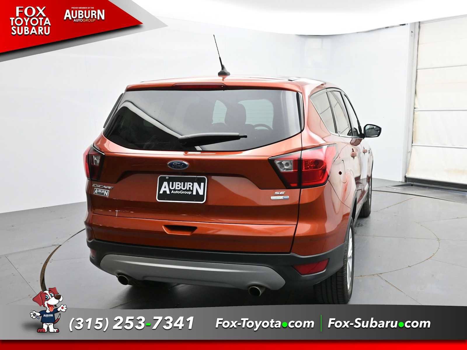 Used 2019 Ford Escape SE AWD/4WD image 4