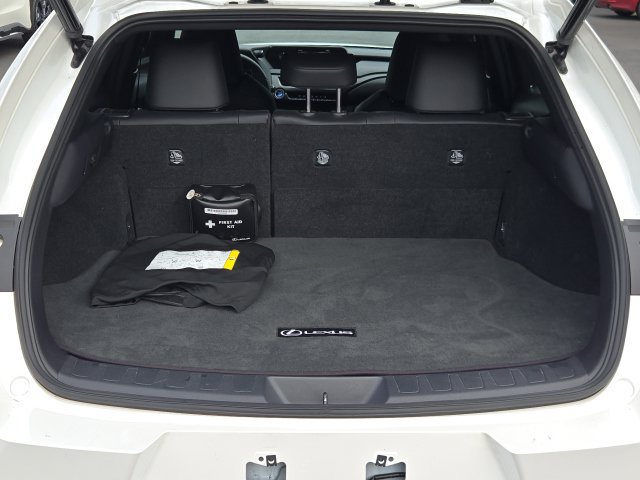Used 2019 Lexus UX 250h w/ Premium Package AWD/4WD image 17