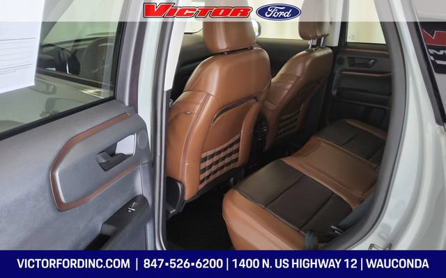 Used 2023 Ford Bronco Sport Badlands w/ Premium Package AWD/4WD image 14