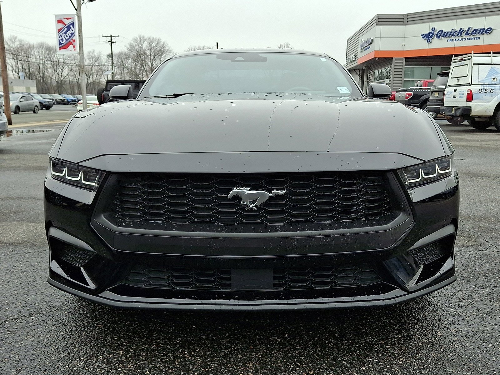 Certified 2024 Ford Mustang Premium RWD image 2