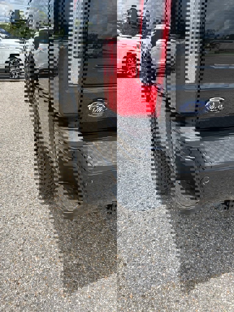 New 2025 Ford F250 Platinum image 9