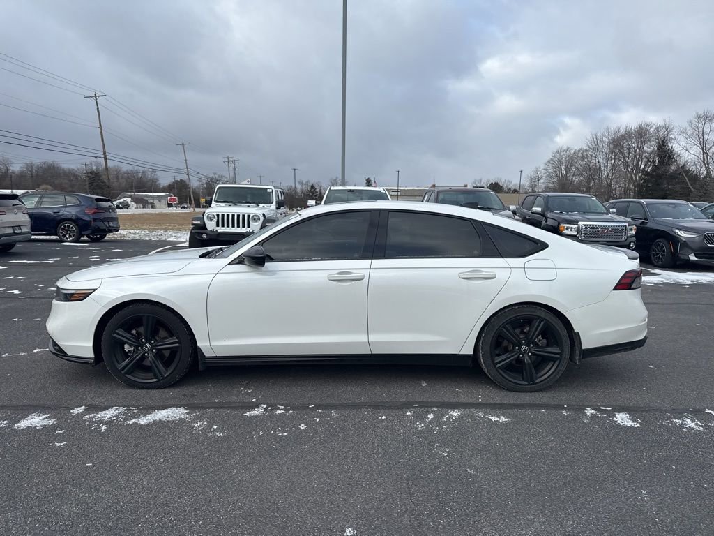 Used 2024 Honda Accord Sport image 4