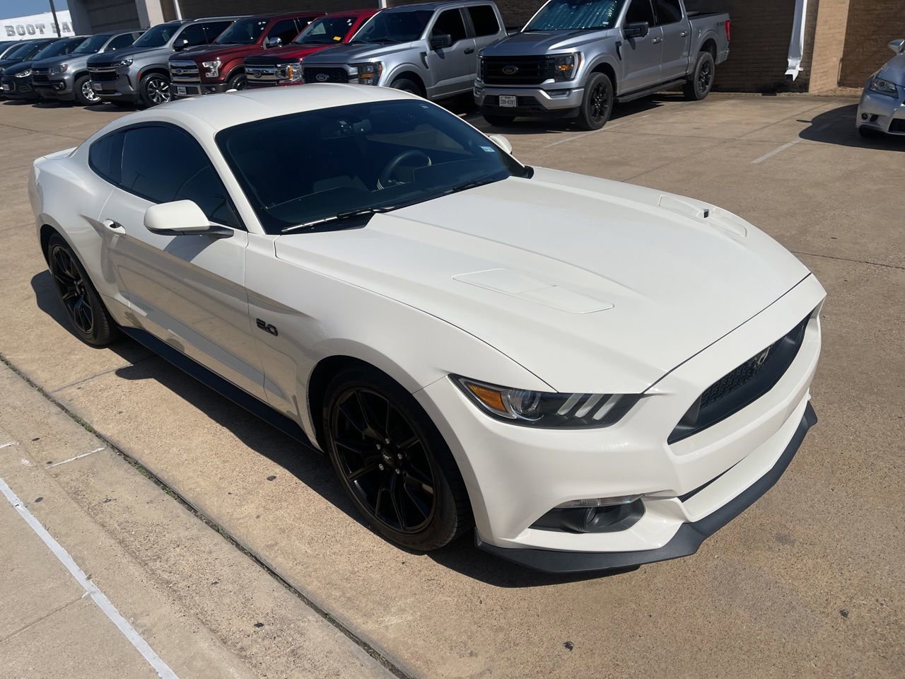 Used 2015 Ford Mustang 50 Years RWD image 9