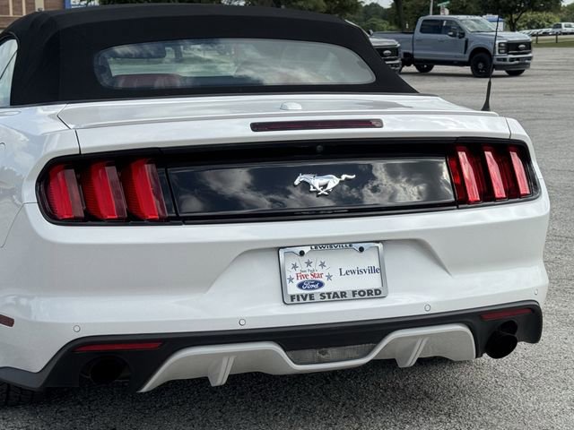 Used 2017 Ford Mustang Premium w/ Equipment Group 201A RWD image 7
