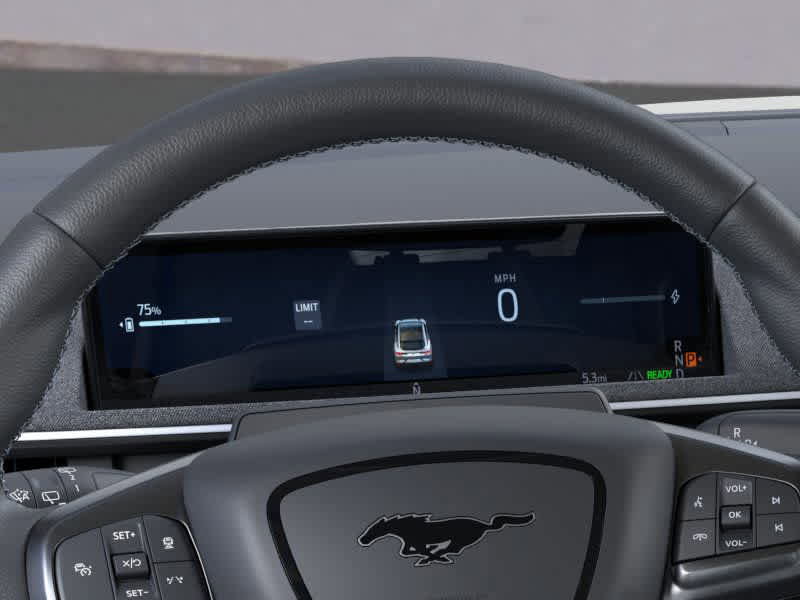 New 2025 Ford Mustang Mach-E GT w/ Interior Protection Package image 13