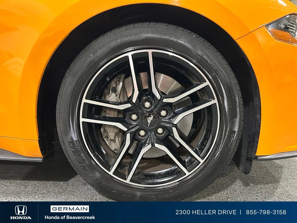 Used 2019 Ford Mustang GT Premium w/ Equipment Group 401A RWD image 12