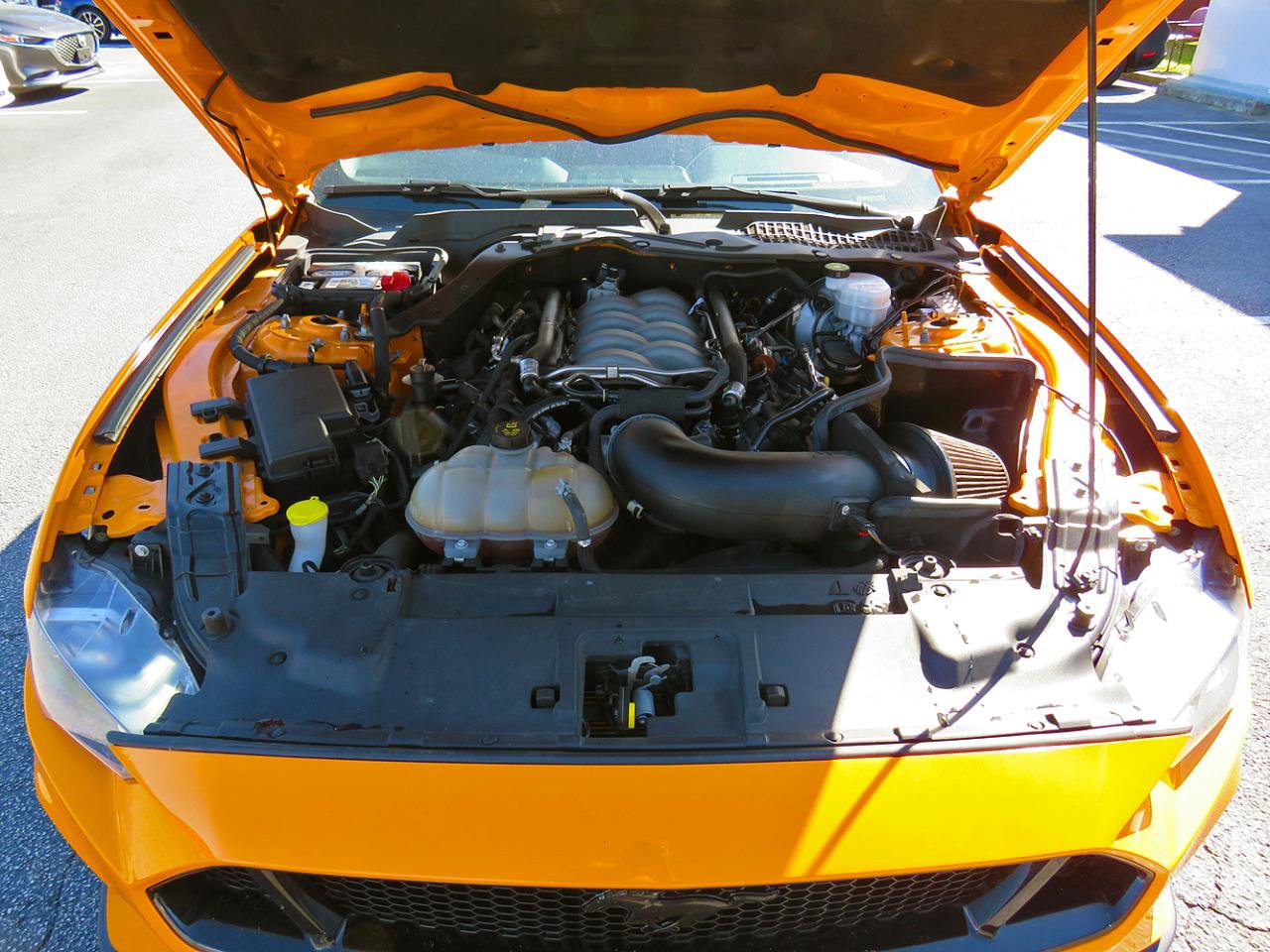 Used 2019 Ford Mustang GT Premium w/ Equipment Group 401A image 34