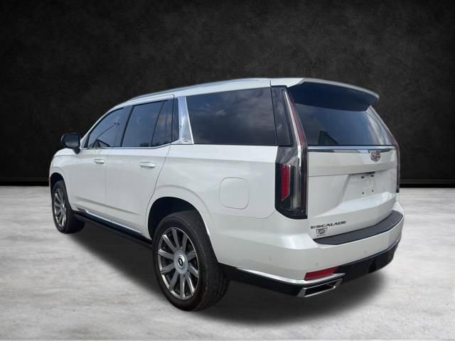 Used 2023 Cadillac Escalade Premium Luxury Platinum image 8