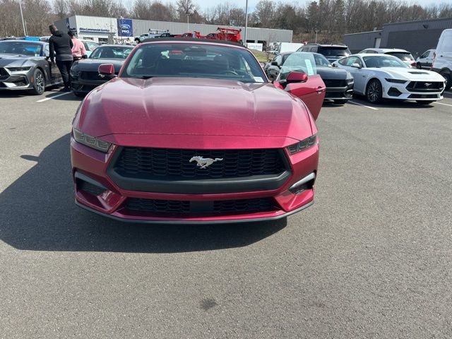 New 2025 Ford Mustang Premium image 2