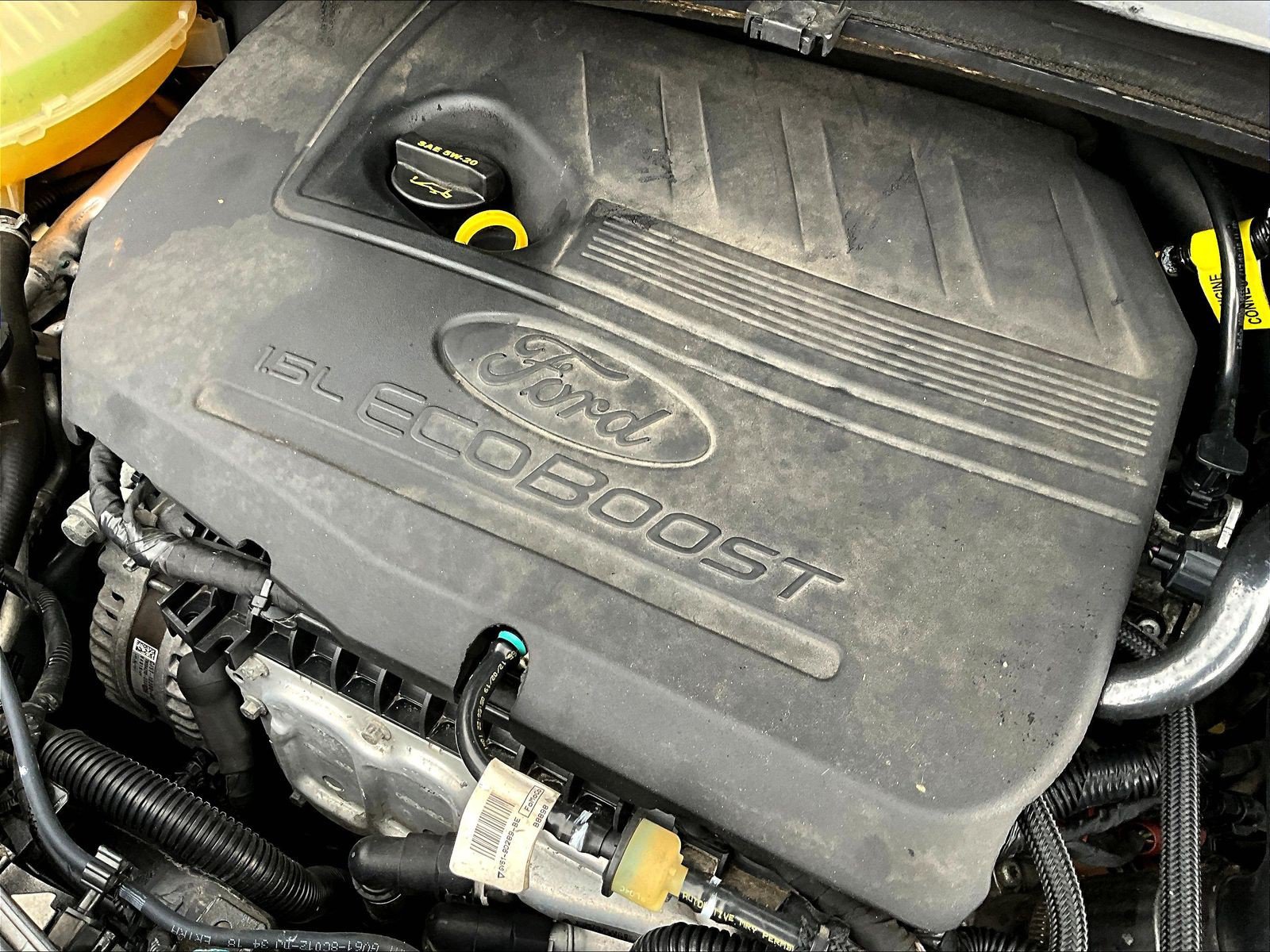 Used 2019 Ford Escape SEL FWD image 32