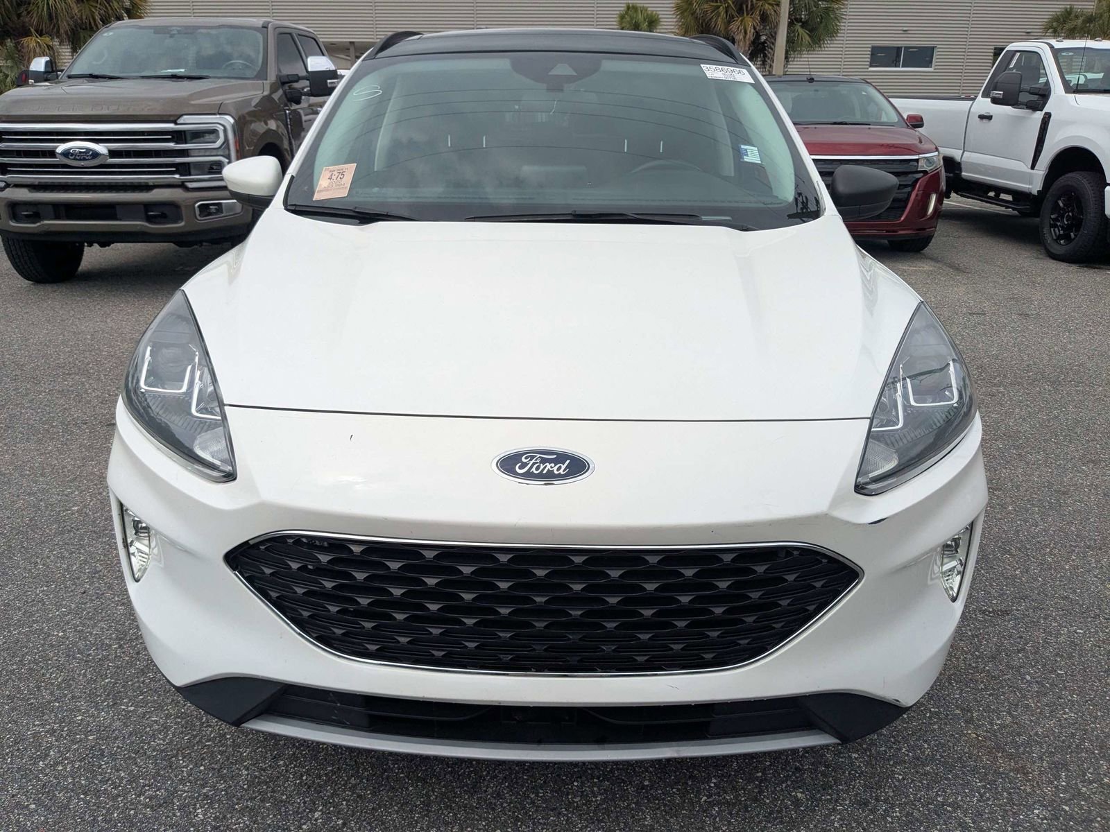 Used 2022 Ford Escape SEL image 9