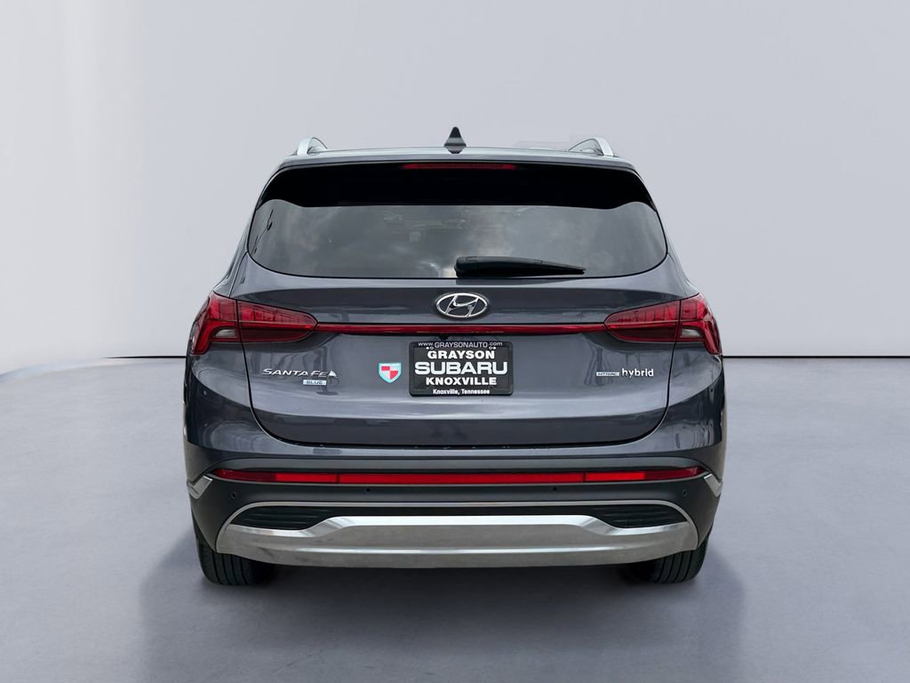 Used 2021 Hyundai Santa Fe Blue AWD/4WD image 4