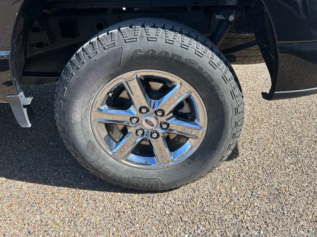 Used 2025 Ford F150 XLT w/ Equipment Group 301A Standard image 9