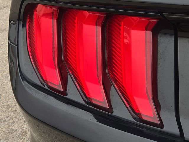 Used 2020 Ford Mustang Coupe w/ Equipment Group 101A RWD image 9