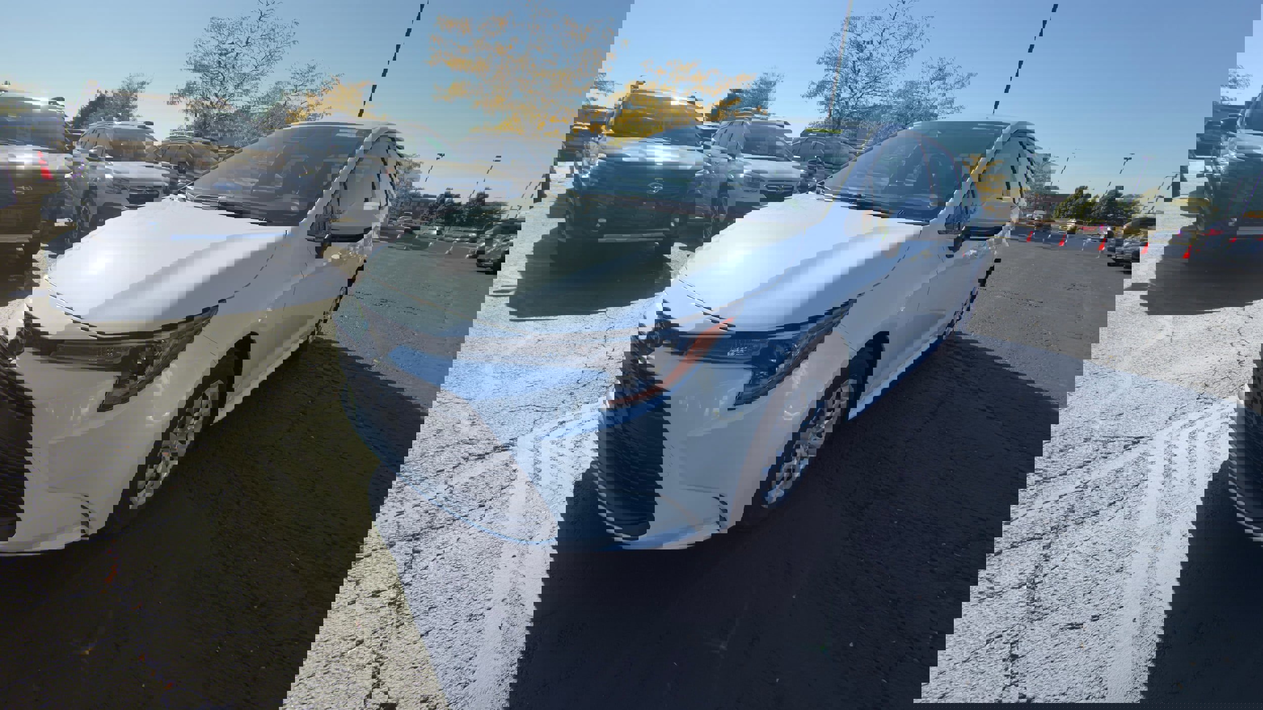 Used 2024 Toyota Corolla LE image 7